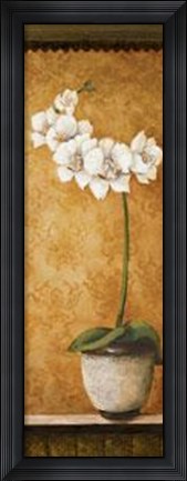 Framed Hanna's Orchids II Print