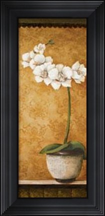 Framed Hanna's Orchids II - Mini Print