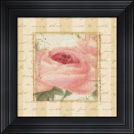 Framed Rose Romance I Print