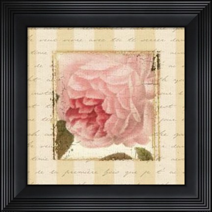 Framed Rose Romance II Print