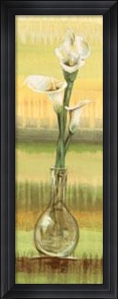 Framed Calla Lilies Print