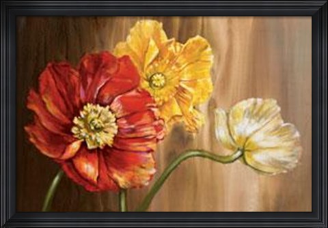 Framed Poppies Print