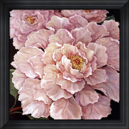 Framed Fuschia Peonies Print