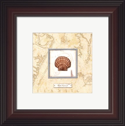 Framed Sea Treasure II - Mini Print