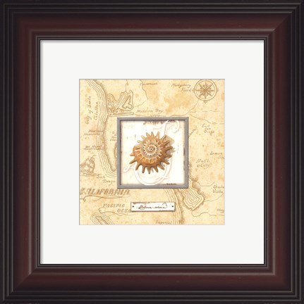 Framed Sea Treasure III - Mini Print