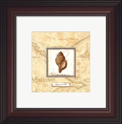 Framed Sea Treasure IV - Mini Print