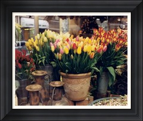 Framed Tulips, Paris Print