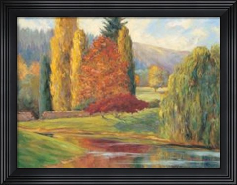 Framed Nature's Splendor I Print