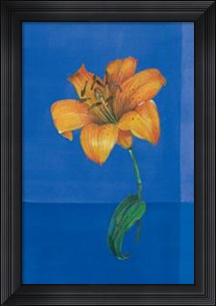 Framed Flower On Blue Print