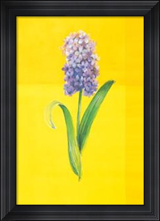 Framed Flower On Yellow Print