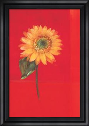 Framed Flower On Red Print