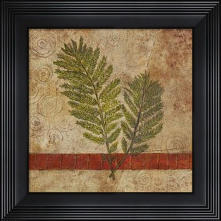 Framed Nature Study 1 Print