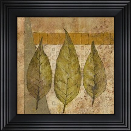 Framed Nature Study 2 Print