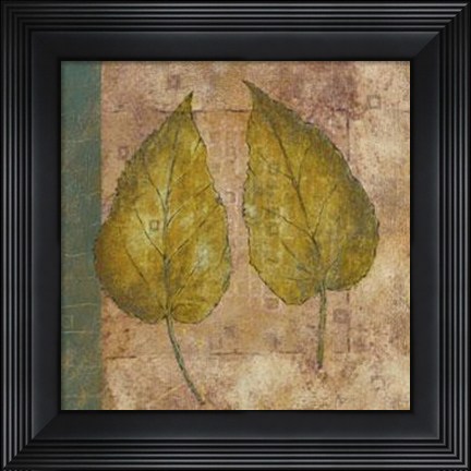 Framed Nature Study 3 Print