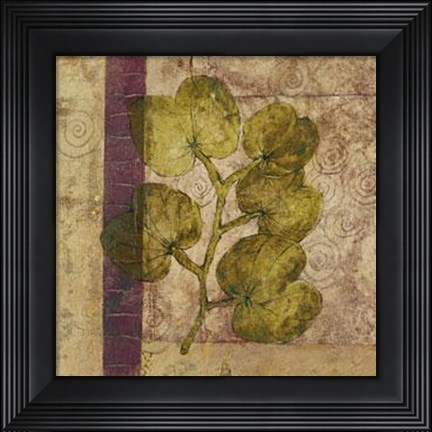 Framed Nature Study 4 Print