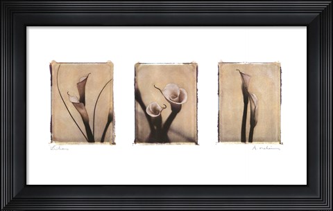 Framed Lilies Print