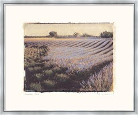 Framed Lavender Field Print