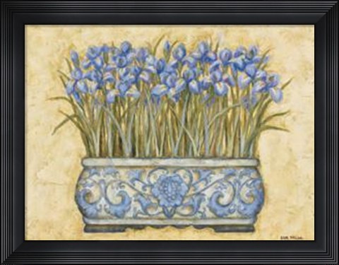 Framed Blue Irises Print