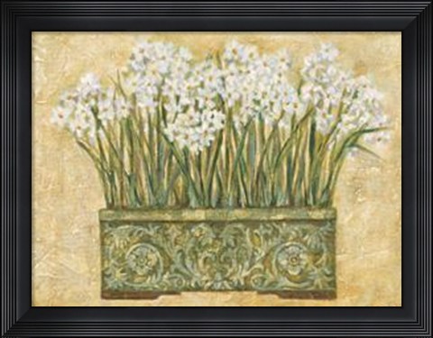 Framed White Narcissus Print
