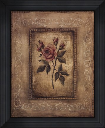 Framed Savin Rose Print