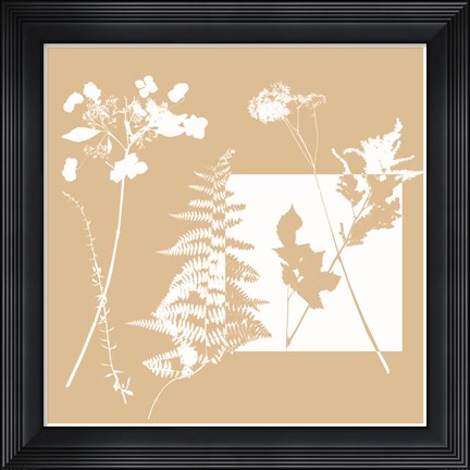 Framed Yin Yang II Print