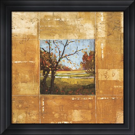 Framed Terranova I Print