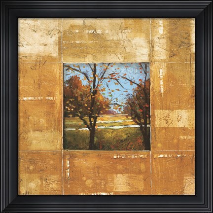 Framed Terranova II Print