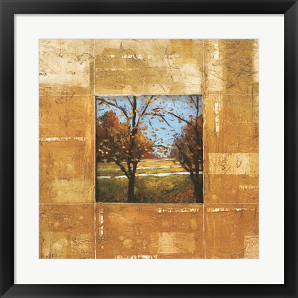 Framed Terranova II Print