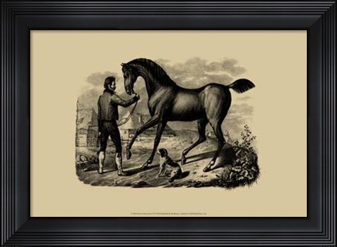 Framed Horse Horsemen VI Print