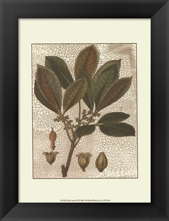 Framed Leaves III Print