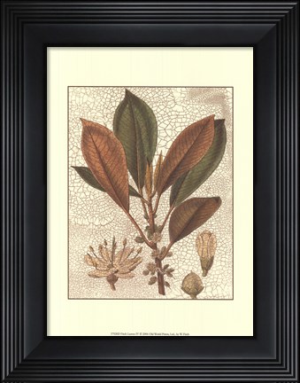 Framed Leaves IV Print