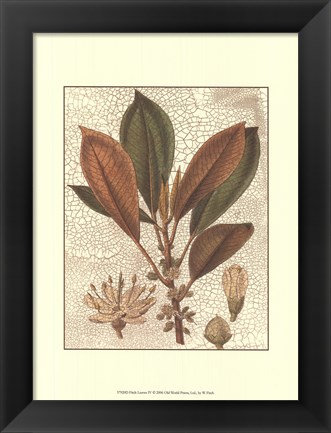 Framed Leaves IV Print