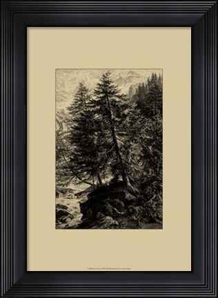 Framed Larch Tree Print