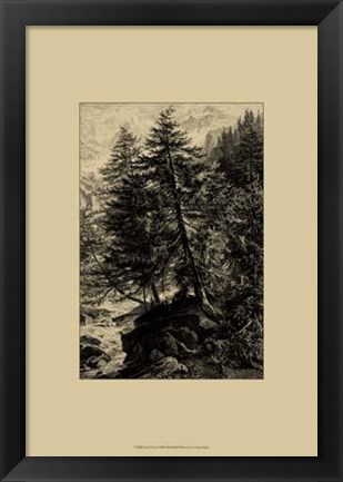 Framed Larch Tree Print