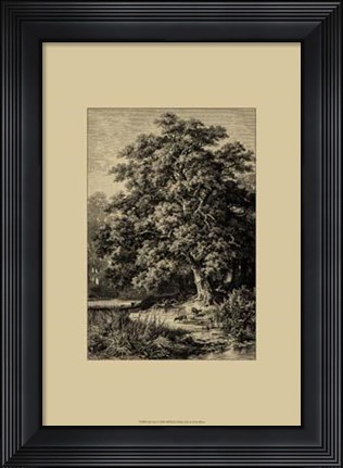 Framed Oak Tree Print