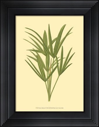 Framed Terra Collection I Print