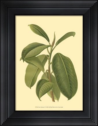 Framed Terra Collection V Print