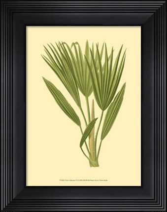 Framed Terra Collection VI Print