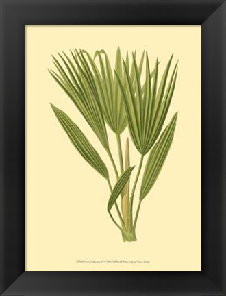 Framed Terra Collection VI Print