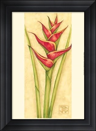 Framed Red Heliconia Print