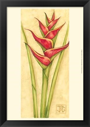 Framed Red Heliconia Print