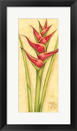 Framed Red Heliconia Print