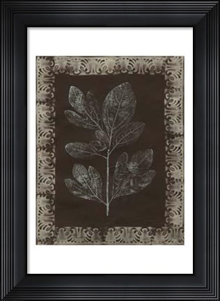 Framed Forest Finery II Print