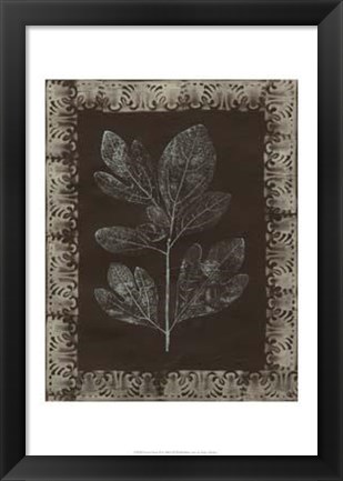 Framed Forest Finery II Print