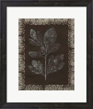 Framed Forest Finery II Print