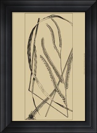 Framed Grass Roots I Print