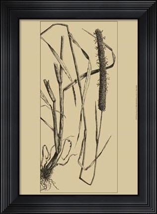 Framed Grass Roots II Print