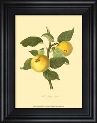 Framed Grange Apple Print