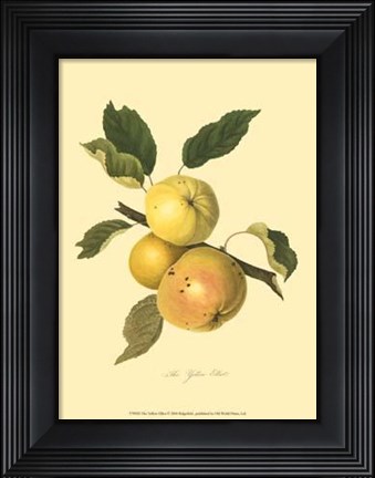 Framed Yellow Elliot Print