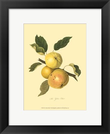 Framed Yellow Elliot Print